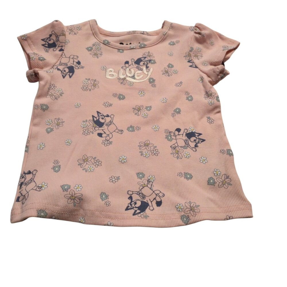 Carter's Bluey T-Shirt Girl's Size 2T Pink Embroidered Summer Fun NEW